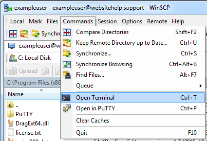 winscp batch command examples